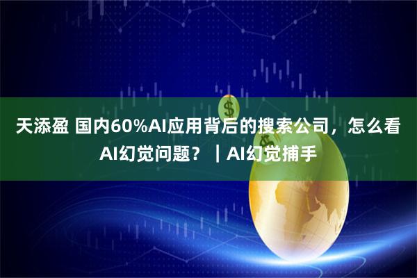 天添盈 国内60%AI应用背后的搜索公司,怎么看AI幻觉问题?|AI幻觉捕手