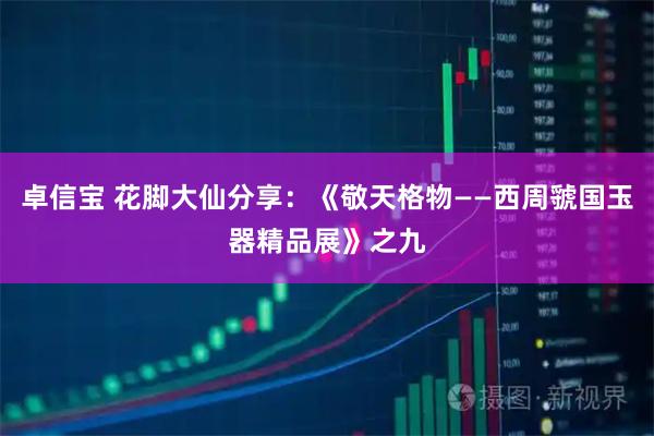 卓信宝 花脚大仙分享：《敬天格物——西周虢国玉器精品展》之九
