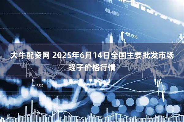 大牛配资网 2025年6月14日全国主要批发市场蛏子价格行情